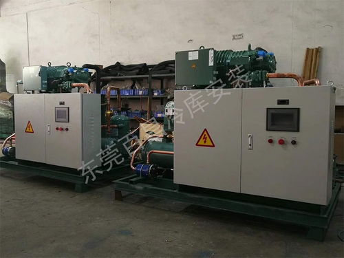 珠海鲈鱼加工厂冷库安装 构建高品质、高安全性的食品储存解决方案