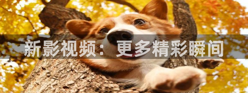 新影视频：更多精彩瞬间