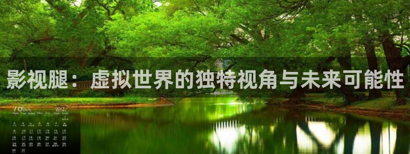 影视腿：虚拟世界的独特视角与未来可能性