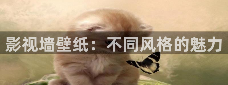 影视墙壁纸：不同风格的魅力