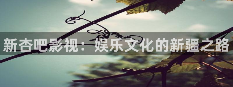 新杏吧影视：娱乐文化的新疆之路