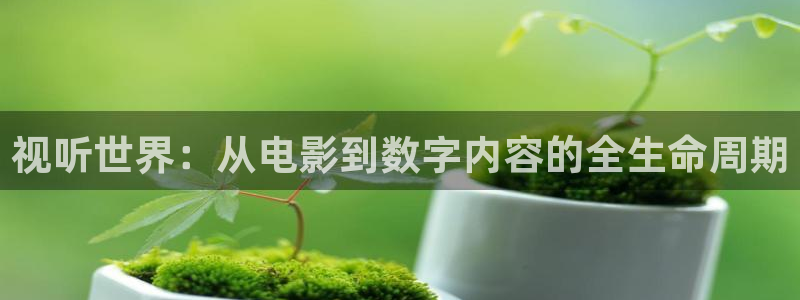 视听世界：从电影到数字内容的全生命周期