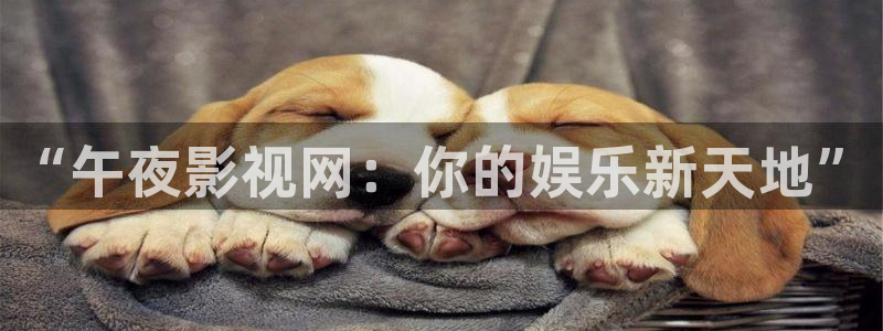 “午夜影视网：你的娱乐新天地”